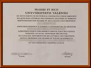 YALE毕业证购买